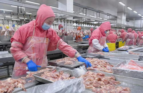 禽肉進(jìn)口量顯著下降，下半年國(guó)內(nèi)市場(chǎng)價(jià)格預(yù)期向好